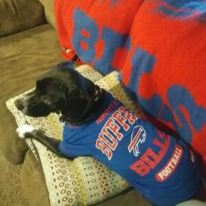 Fundraising Page: dee culhane